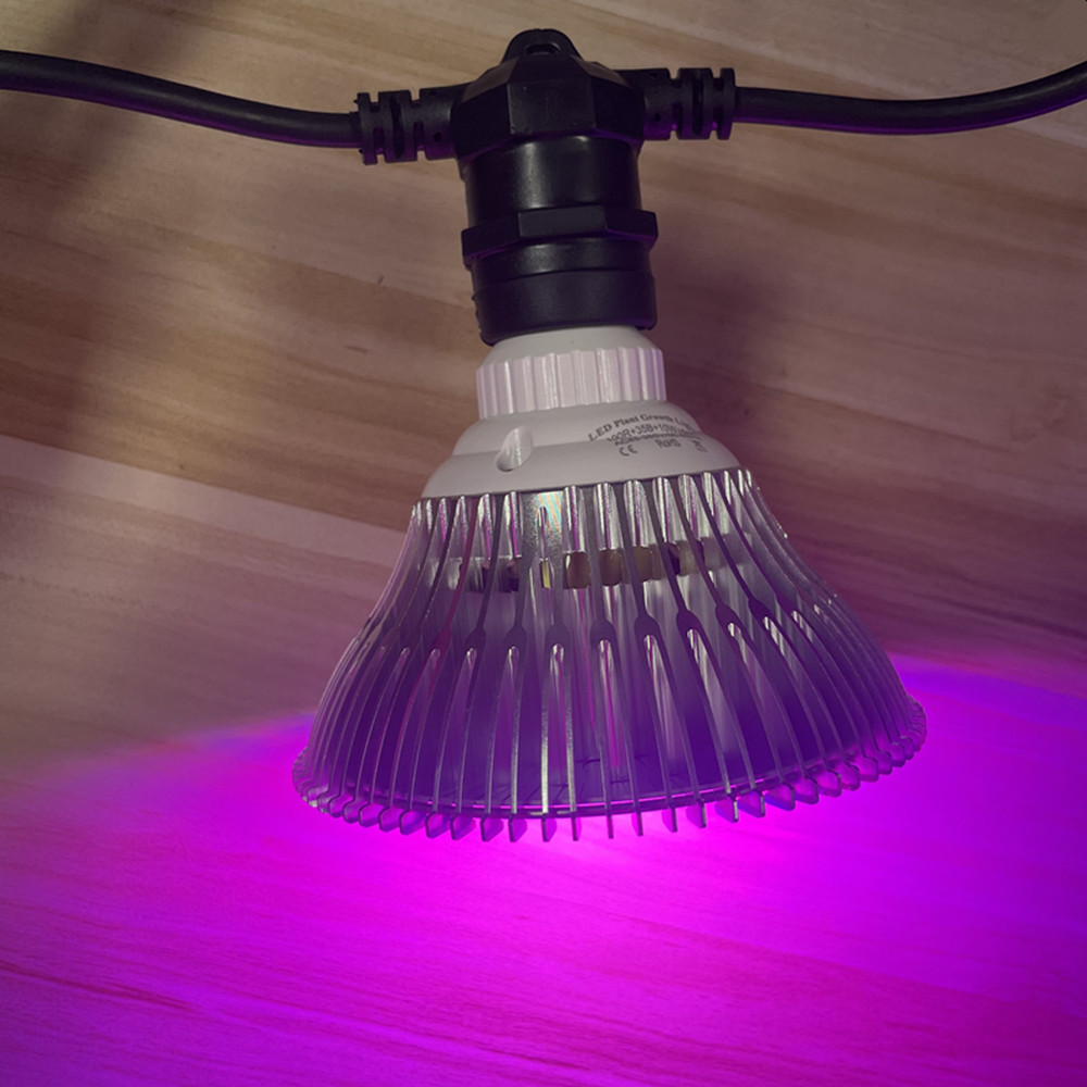 10M Cable LED String Commercia - Smart Garden Lamp avaliação e preço